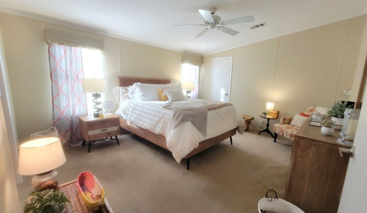 268 Monterey Cypress - sp23