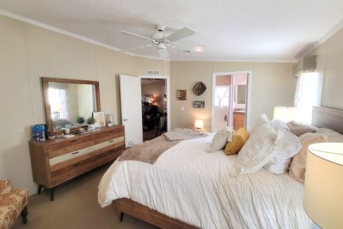 268 Monterey Cypress - sp24