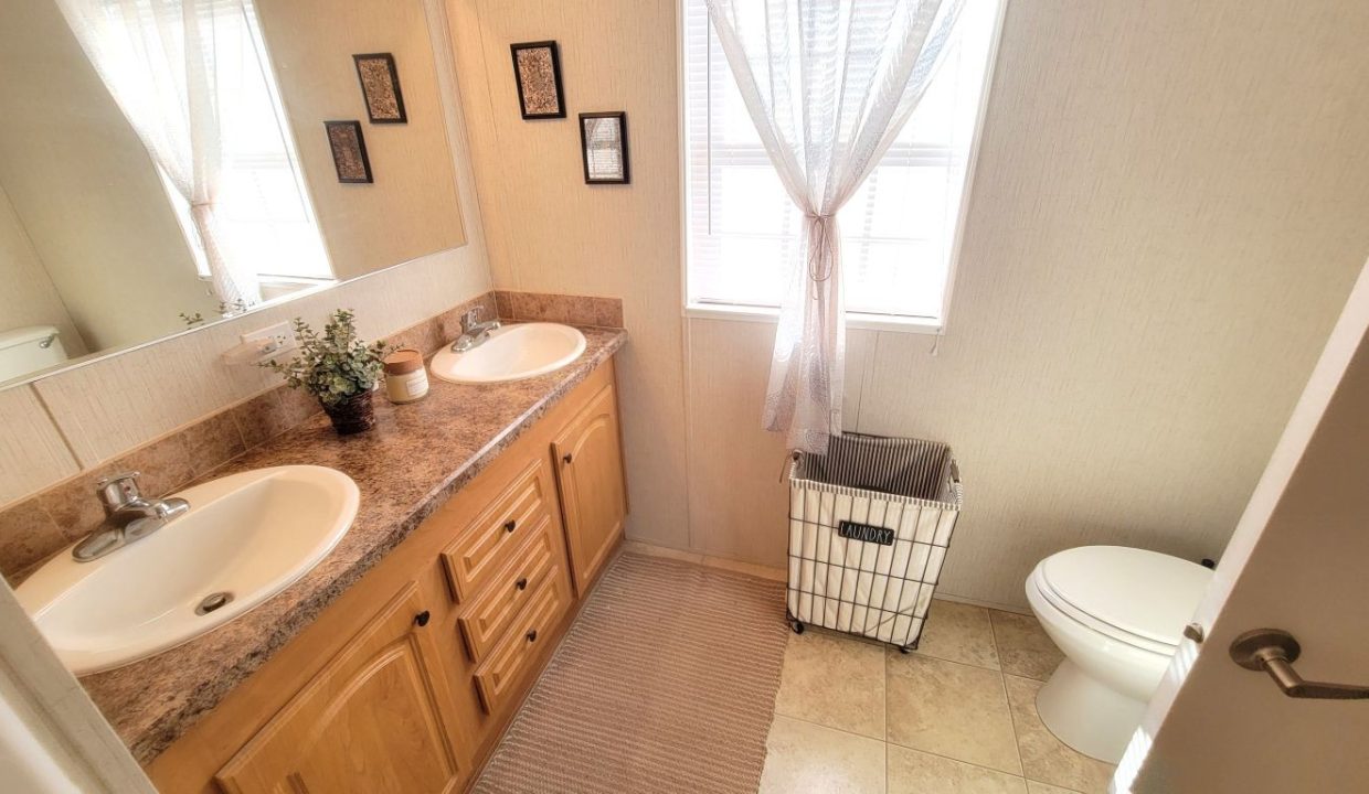 268 Monterey Cypress - sp25