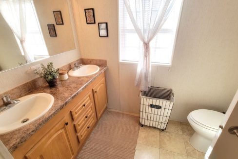 268 Monterey Cypress - sp25