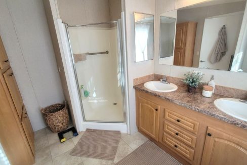 268 Monterey Cypress - sp26