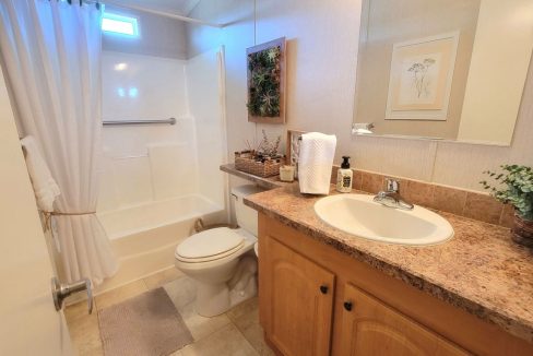 268 Monterey Cypress - sp27