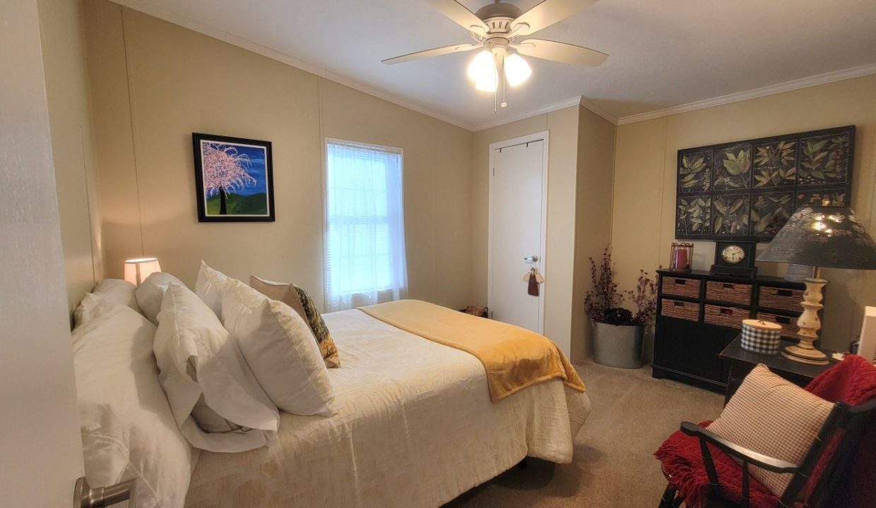 268 Monterey Cypress - sp28