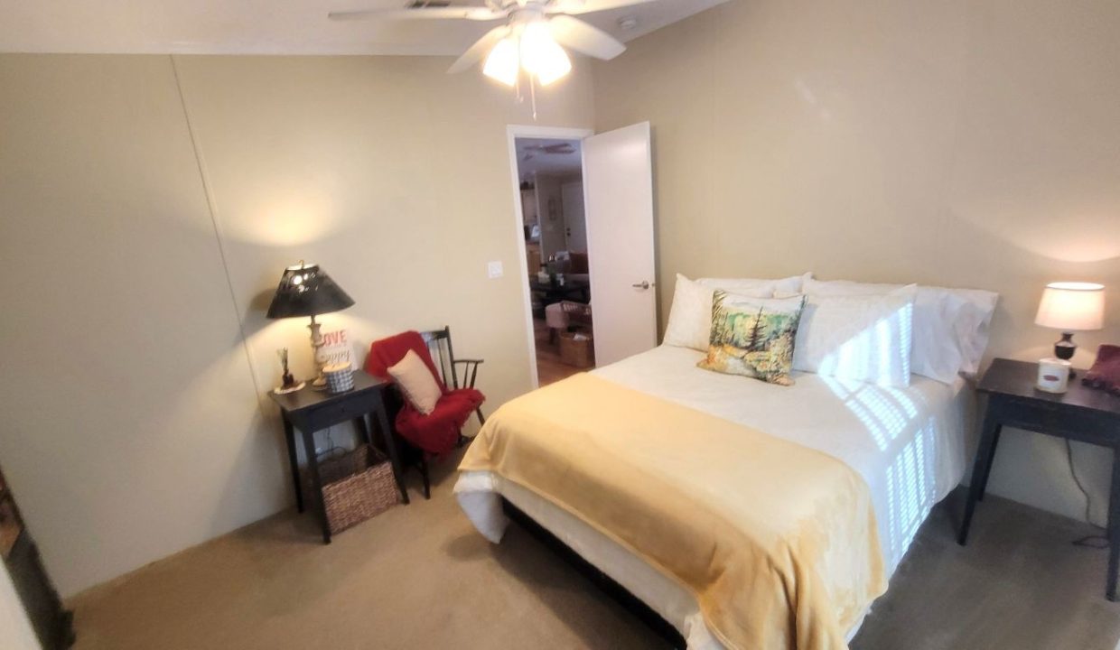 268 Monterey Cypress - sp29