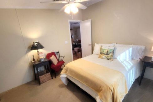 268 Monterey Cypress - sp29