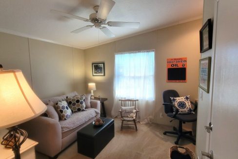 268 Monterey Cypress - sp30