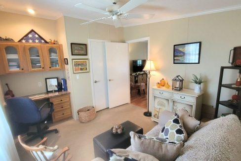 268 Monterey Cypress - sp31