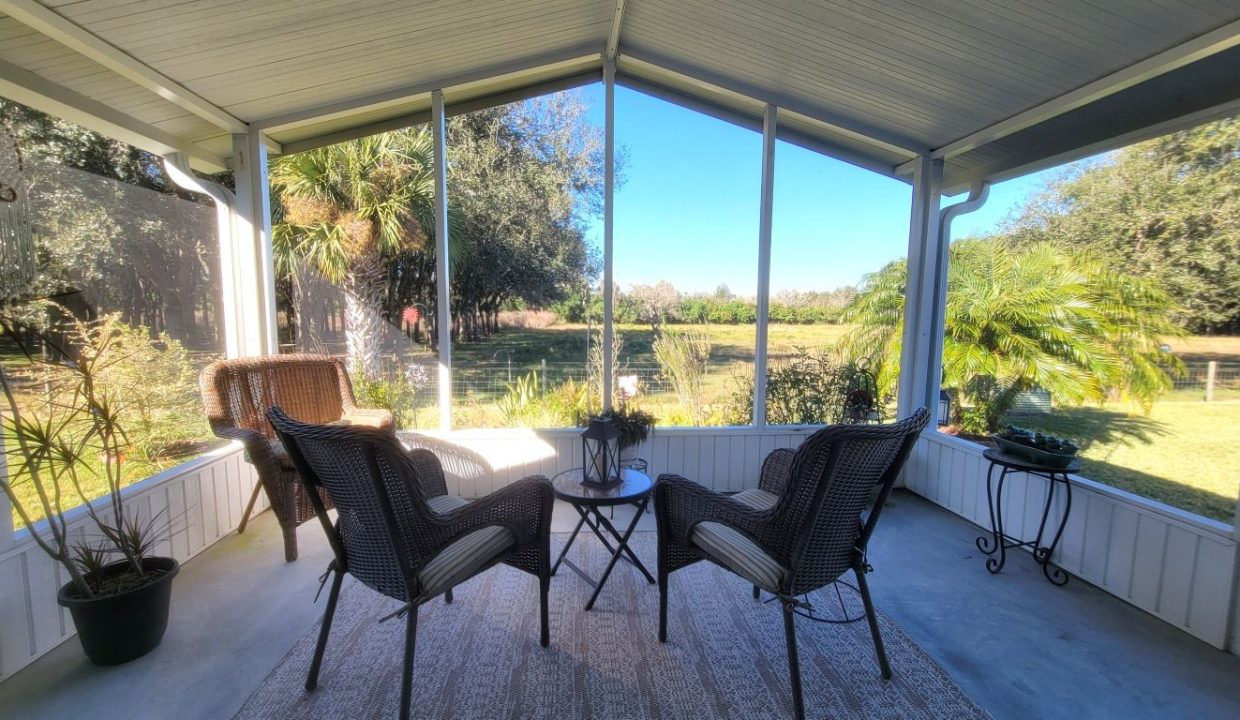 268 Monterey Cypress - sp32