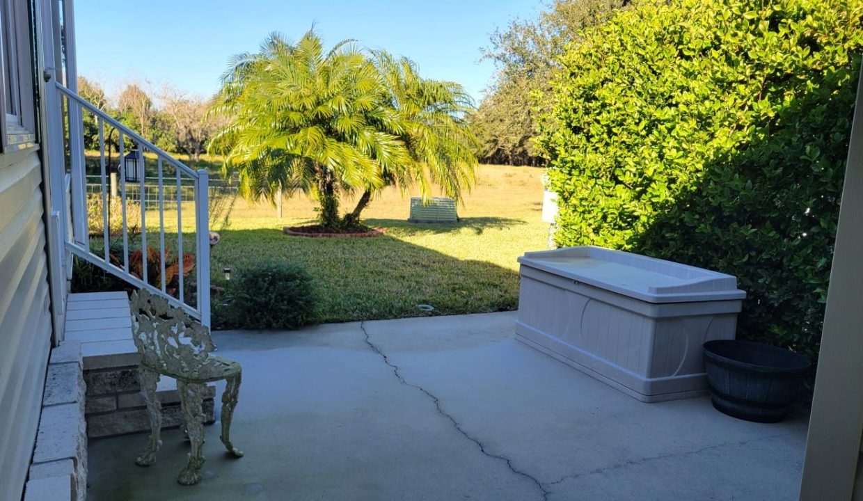 268 Monterey Cypress - sp33