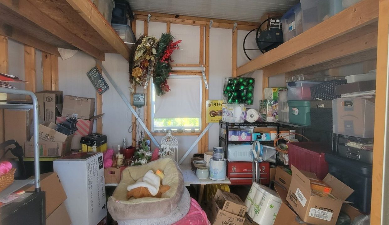 268 Monterey Cypress - sp34