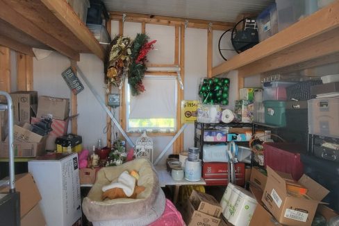 268 Monterey Cypress - sp34