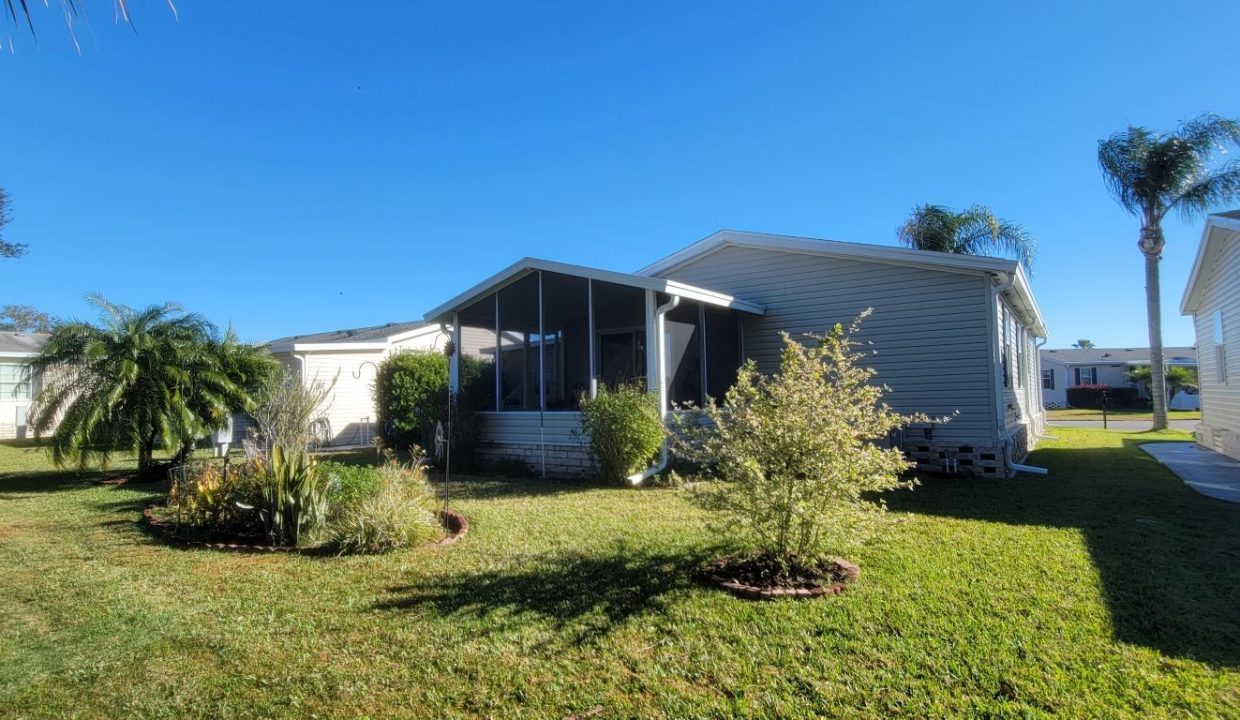 268 Monterey Cypress - sp35