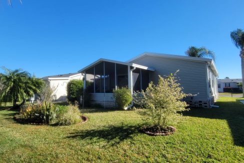 268 Monterey Cypress - sp35