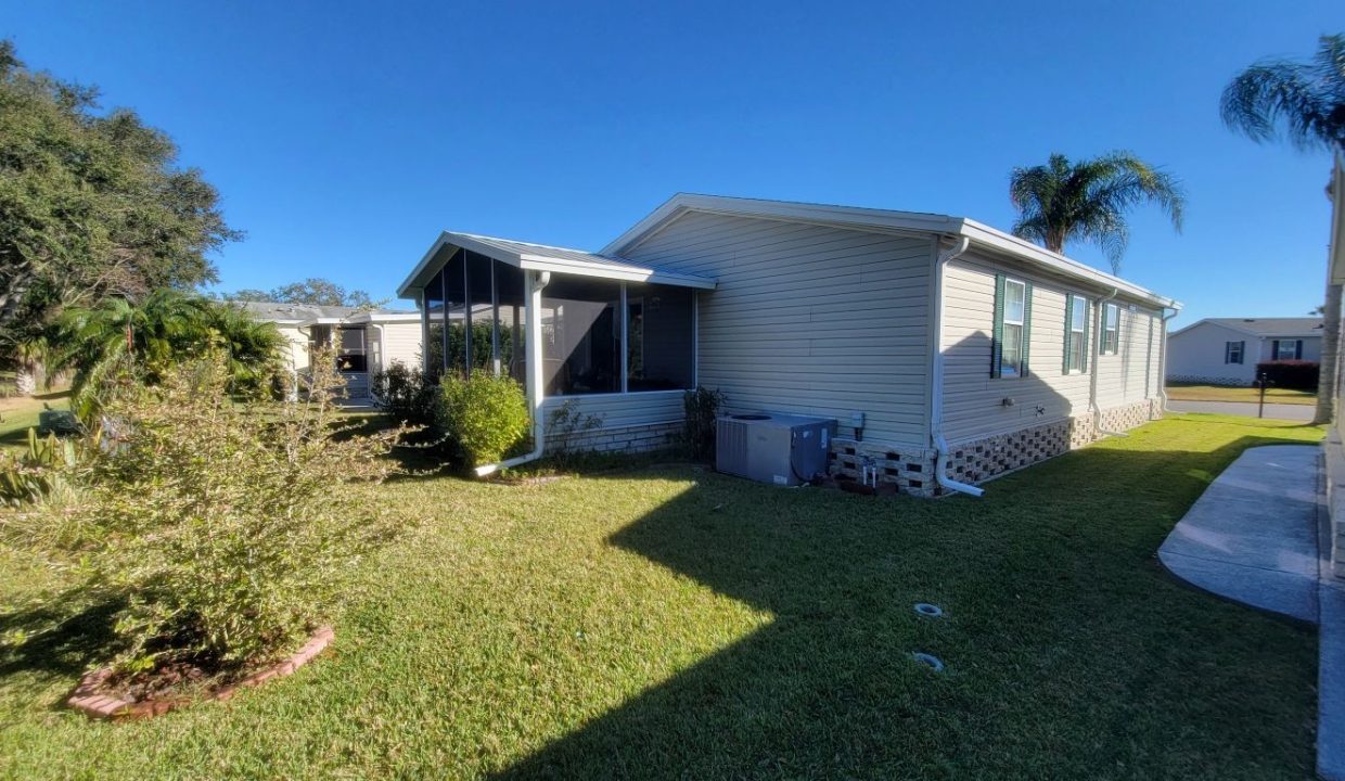 268 Monterey Cypress - sp36
