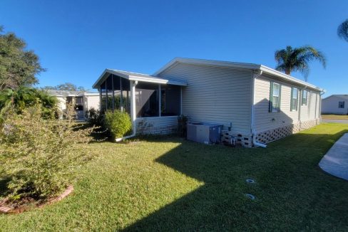 268 Monterey Cypress - sp36