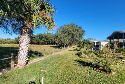 268 Monterey Cypress - sp37