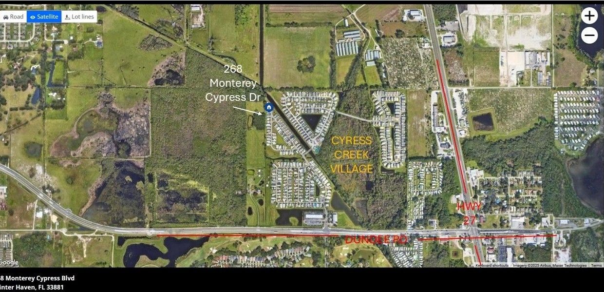 268 Monterey Cypress - sp39