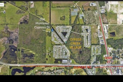 268 Monterey Cypress - sp39