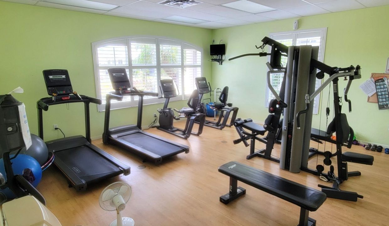 268 Monterey Cypress - sp45