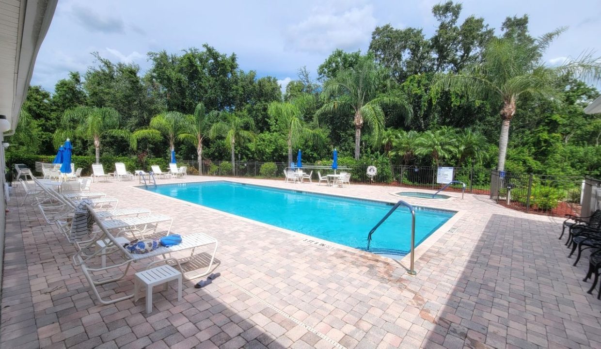 268 Monterey Cypress - sp46