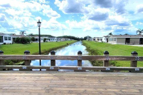 268 Monterey Cypress - sp47