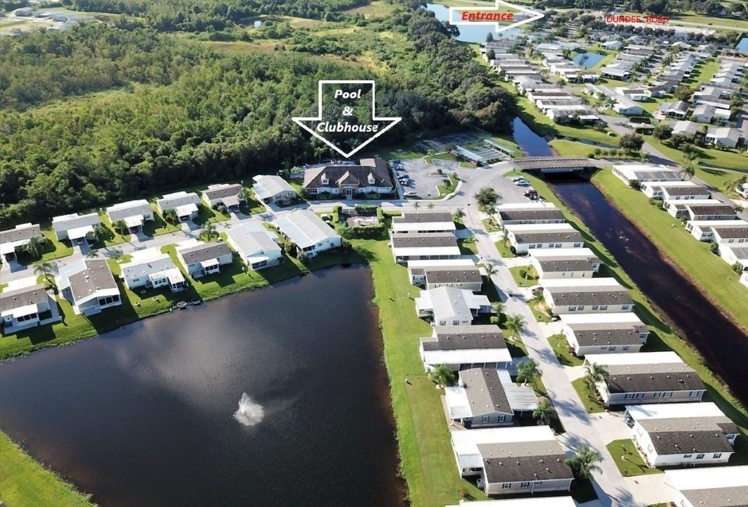 268 Monterey Cypress - sp48