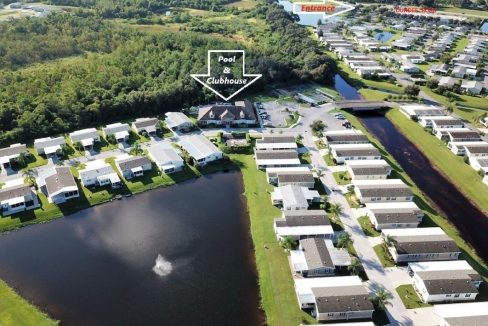 268 Monterey Cypress - sp48