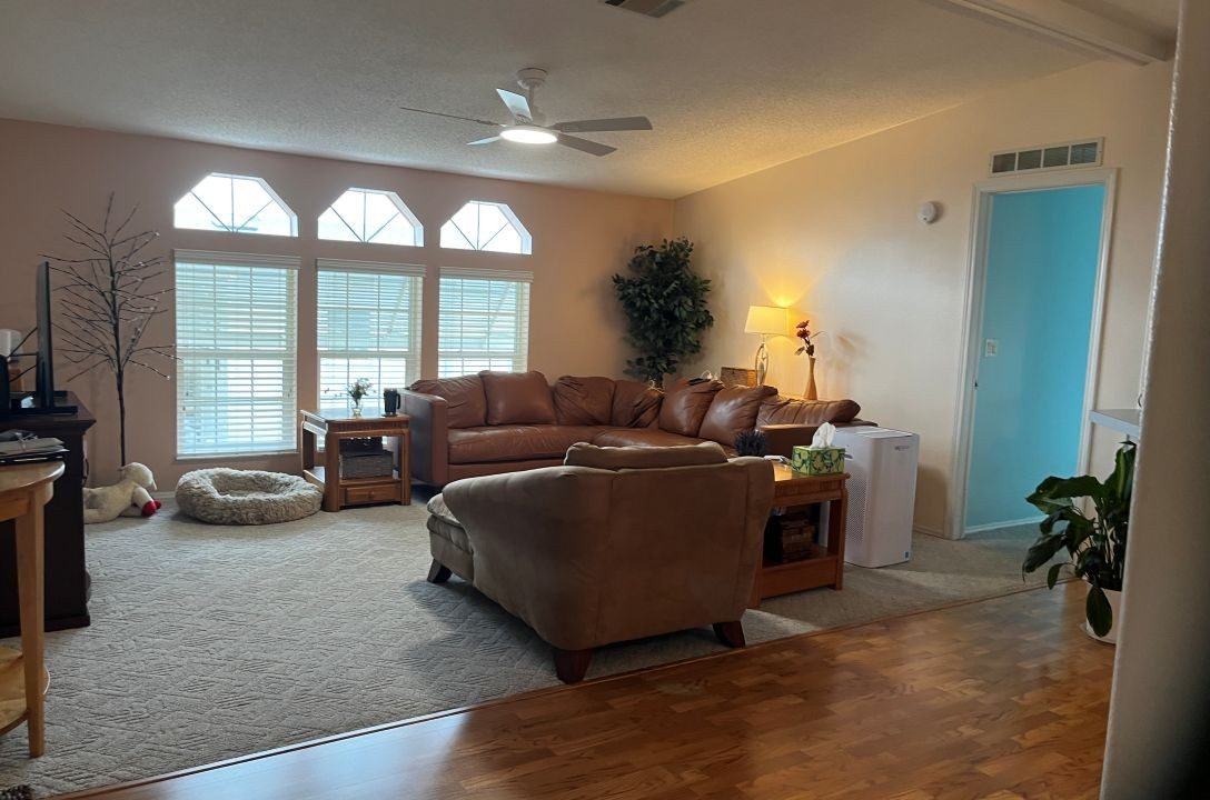 2430 Crooked Stick - sp02