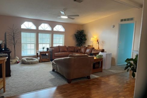 2430 Crooked Stick - sp02