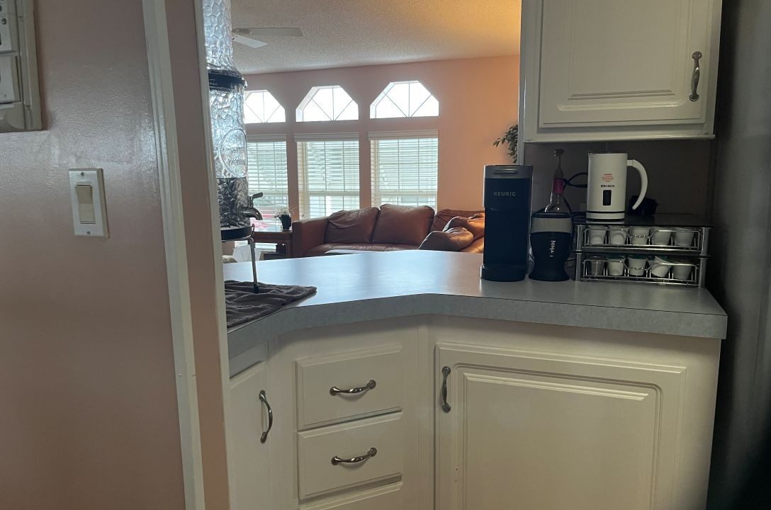 2430 Crooked Stick - sp10