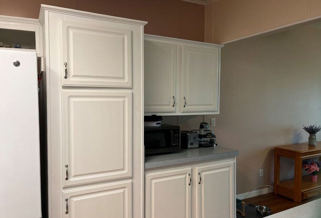 2430 Crooked Stick - sp11