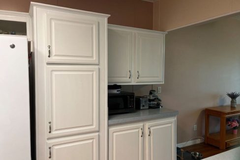 2430 Crooked Stick - sp11