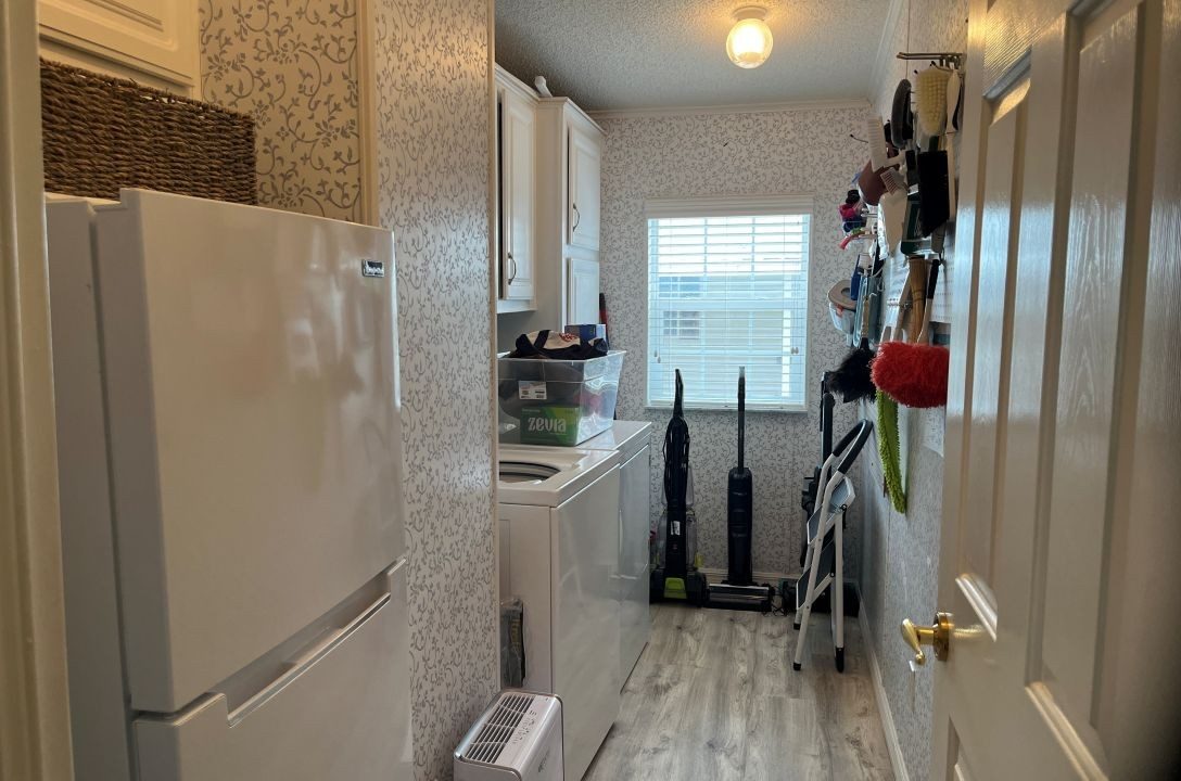 2430 Crooked Stick - sp13