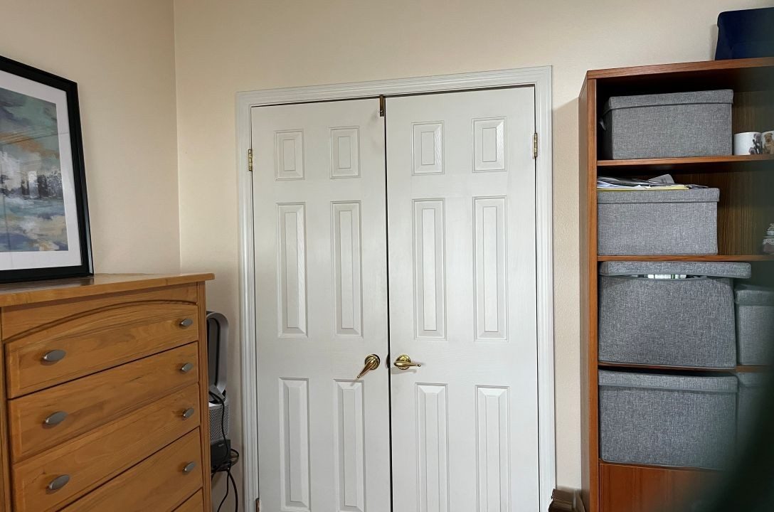 2430 Crooked Stick - sp15