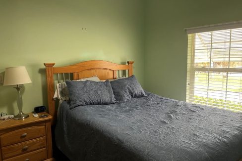 2430 Crooked Stick - sp16