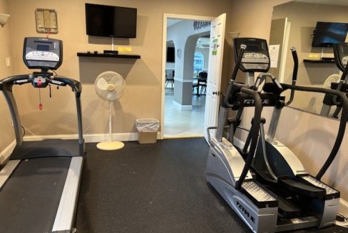 481 Gulf Stream - sp25