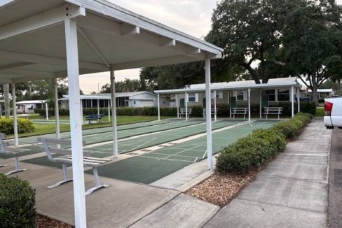 481 Gulf Stream - sp26