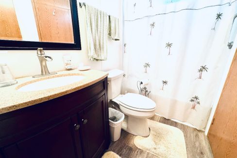 169 Lake Michigan - sp15