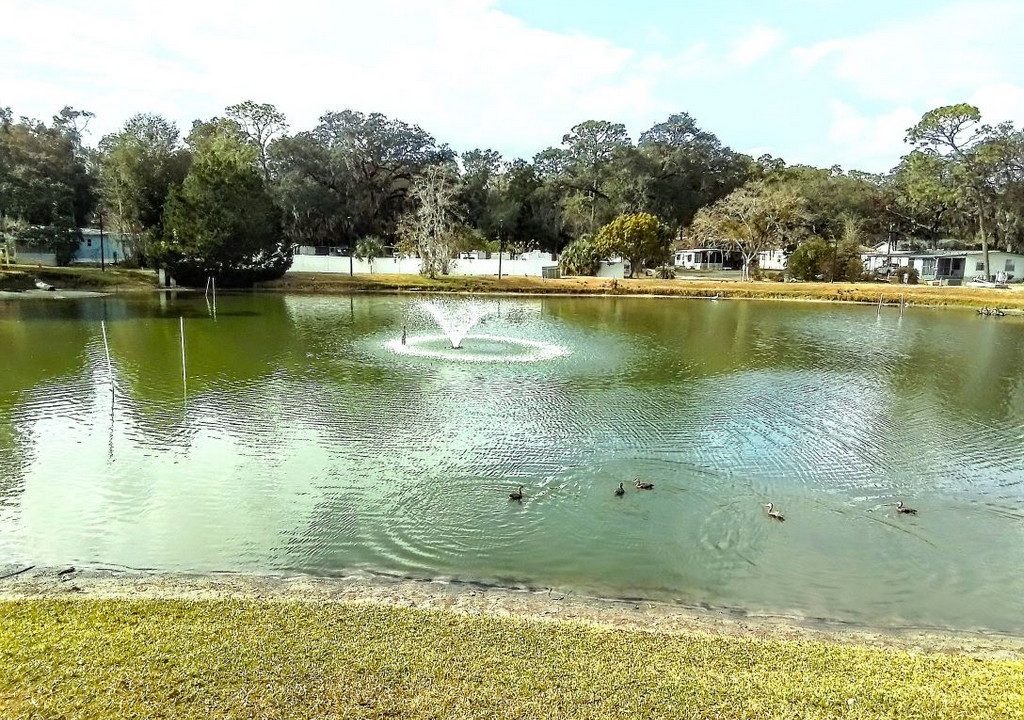 3150 NE 36th lot 317 - sp26
