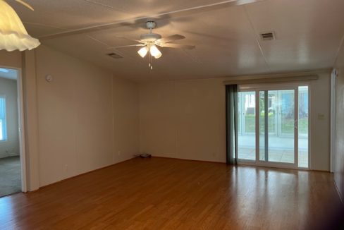 2422 Crooked Stick - sp10