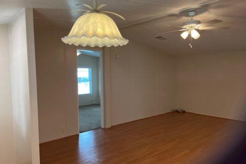 2422 Crooked Stick - sp11