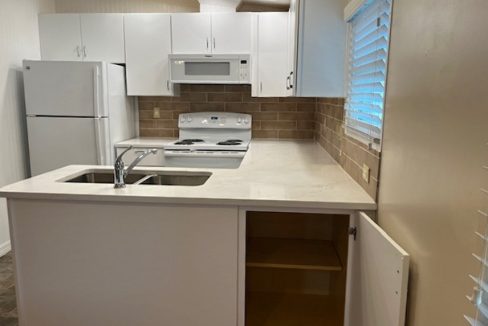 2422 Crooked Stick - sp16