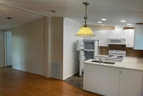 2422 Crooked Stick - sp17