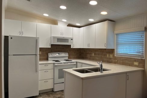 2422 Crooked Stick - sp19
