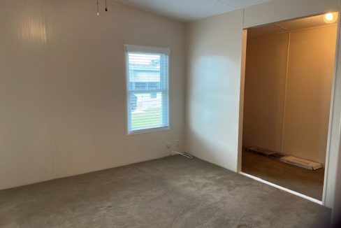 2422 Crooked Stick - sp23