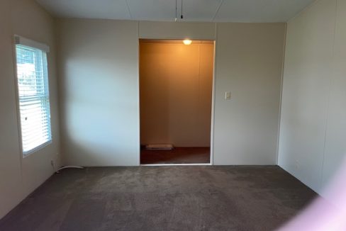 2422 Crooked Stick - sp25
