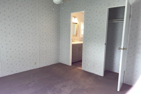 2422 Crooked Stick - sp29