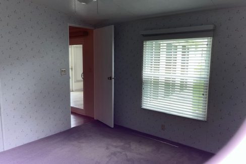 2422 Crooked Stick - sp30