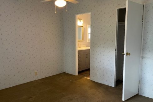2422 Crooked Stick - sp34