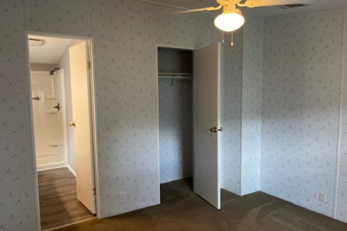 2422 Crooked Stick - sp35